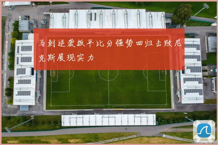 马刺逆袭扳平比分强势回归击败尼克斯展现实力